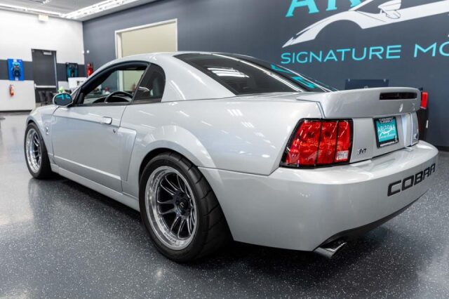 2004 Ford Mustang SVT Cobra Base Image 6