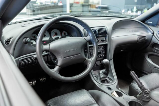2004 Ford Mustang SVT Cobra Base Image 8