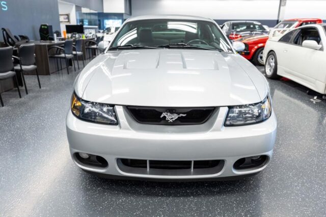 2004 Ford Mustang SVT Cobra Base Image 2