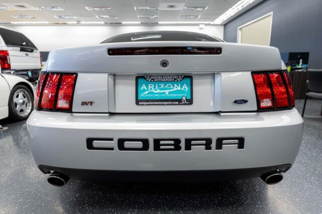 2004 Ford Mustang SVT Cobra Base Image 5